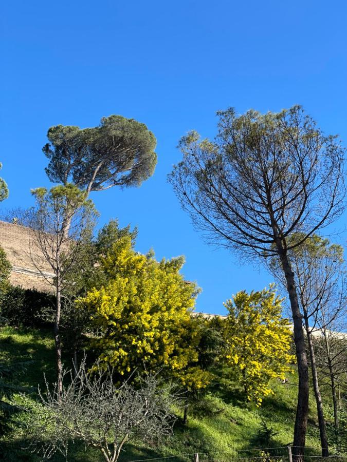 Vatican Green Holidays House Ρώμη Εξωτερικό φωτογραφία